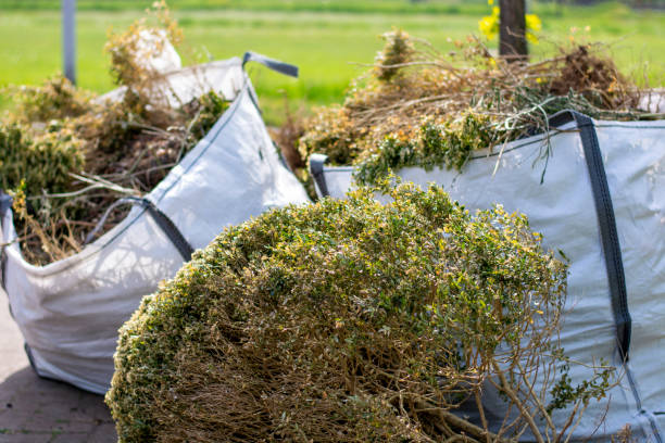 Best Electronics and E-Waste Disposal  in Hedwig Village, TX